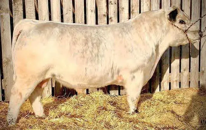 NOTTA 110B CHILKOOT 301F